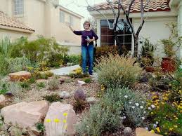 A Colorful Desert Garden In The Nevada Desert Desert Landscaping Desert Landscaping Backyard Desert Landscape Front Yard