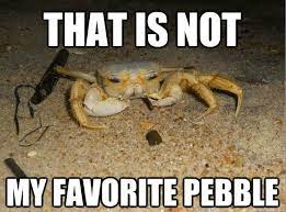 Disappointed Crab Meme Crab Meme Crab Favorite