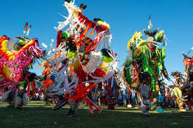 We did not find results for: Montanakids Blackfeet Indian Reservation