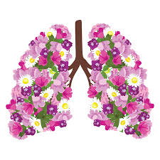 Fiori E Foglie Vettoriali Illustrazioni E Clipart 155,881,527 su foto stock online.