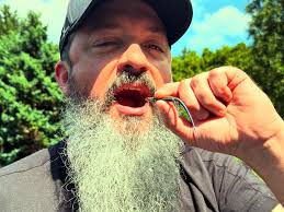 An American Five-Lined Skink paid us a visit today. Absolutely gorgeous  creature. And delicious! #nature #jimburnsnature #jimburnsnaturechronicles  #lizard #americanfivelinedskink #indianawildlife #libertyindiana