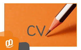 Rediger Un Cv Parfait Comment Etre Percutant