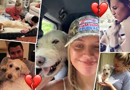 Dog Sniffs Out Spoiled Wine