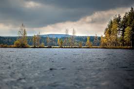 Select from premium hagfors sweden of the highest quality. Hd Wallpaper Sweden Upplunden Hagfors Host Trees Water Clouds Varmland Wallpaper Flare