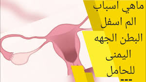 ففي المرحلة الأولى على سبيل المثال بالكاد تكاد تسمع الأم صوت جنينها، ومن ناحية الأم وفي الشهر الخامس تكون الجفون والرموش قد استقرت في مكانها وبدأت تتشكل بشكل كبير، بينما يكون قد تسارع. Ø§Ù„Ù… Ø§Ø³ÙÙ„ Ø§Ù„Ø¨Ø·Ù† Ø§Ù„Ø¬Ù‡Ø© Ø§Ù„ÙŠÙ…Ù†Ù‰ Ø¹Ù†Ø¯ Ø§Ù„Ø­Ø§Ù…Ù„ Ø£Ø³Ø¨Ø§Ø¨ Ø£Ù„Ù… Ø§Ù„Ø¬Ø§Ù†Ø¨ Ø§Ù„Ø£ÙŠÙ…Ù† Ø£Ø³ÙÙ„ Ø§Ù„Ø¨Ø·Ù† Ø£Ø«Ù†Ø§Ø¡ Ø§Ù„Ø­Ù…Ù„ Youtube