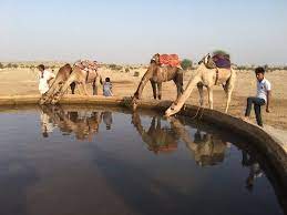 They are well arranged and the only duty you will rajasthan tour operators will show you pictures from the safari with huge sand dunes, don't be fooled though. Having A Drink In The Local Village Picture Of The Real Deal Rajasthan Camel Safari Jaisalmer Tripadvisor