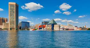 About The North Star Team of eXp Realty