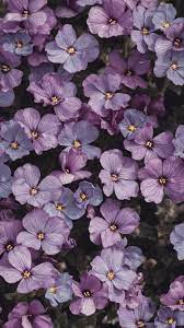 Check out this fantastic collection of light purple aesthetic wallpapers, with 44 light purple aesthetic background images for your desktop, . 750 Purple Aesthetic Pictures Download Free Images On Unsplash