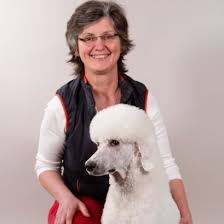Hundesalon Schlesinger . Ihr Hundefriseur in Erfurt