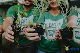 But believe it or not, flower bulbs, vegetables and shrubs all thrive when planted during this time of year. Tree Planting Trivia Most People Plant Trees At The Same Time 3trivia