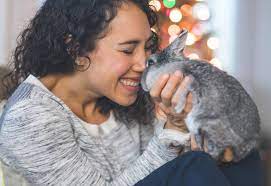 When you want to get a new pet, you have many resources, ranging from rescue groups and shelters to breeders and family and friends. Which Small Animals Like To Cuddle 12 Snuggly Pets Lovetoknow