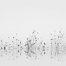 Black And White Photography Abstract Photography Minimalist Etsy Minimalist Photography Abstract Photography Black And White Photography