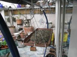 2016 Carolas Garten Balkon