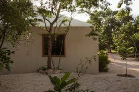 Image result for Galopina