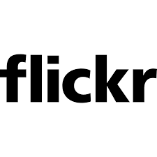 Search more than 600,000 icons for web & desktop here. Flickr Icon Vector 11