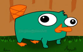 If you have one of your own you'd like to share, send it to us and we'll be happy to include it on our website. Jikujiku Devart Perry The Platypus Images Baby Perry Hd Wallpaper And Background Images Meme On Me Me