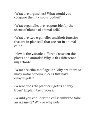 The centriole's main function is to aid in cell division and in the spatial arrangement of structures within the cell. Cell Research