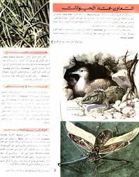 موسوعة المعرفة الأجزاء 11 24 book cover illustration books