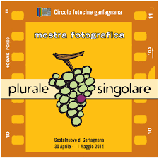 Nella lingua italiana sono presenti alcune parole che non seguono le comuni regole di formazione del plurale, presentando, invece, dei cambi di genere (da maschile a femminile e viceversa), doppi plurali (plurali sovrabbondanti), o anche plurali semplicemente impredicibili. Plurale Singolare 2014 Circolo Fotocinegarfagnana