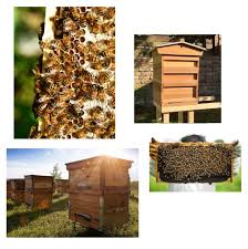 The bee hive cozy cover. Low E Insulation Breathable Beehive Insulation Wraps