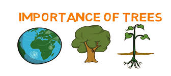 Tree plantation means planting tree in large number. Essay On Importance Of Tree Plantation Essay On Tree Plantation