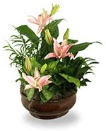We're located on the corner of e ave nw and stoney point rd, next door to cherry hill park. Flowers To Cedar Hill Cemetery Hartford Connecticut Ct Same Day Delivery By A Local Florist In Hartford