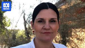 Alice Springs Town Council crippled by 'bullying culture', councillors say 