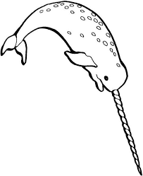 Get this printable narwhal coloring pages line. Ancient Narwhal Drawing Google Search Narwhal Drawing Narwhal Coloring Page Narwhal