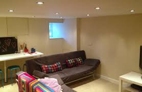 A Room Without A View Home Cellar Conversion New Homes