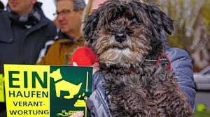 Zwei Tonnen Hundekot Pro Tag Metropolregion