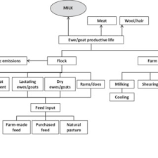 5 Flow Chart Of Sheep Goat Milk Production Adapted From