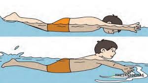 We did not find results for: Renang Gaya Dada Sejarah Pengertian Teknik Dan Kelebihan