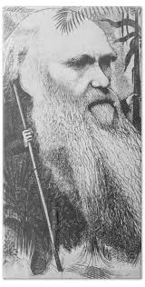 Naturalists Hand Towels for Sale by Science Source Prints