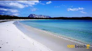 Holidaycheck steht für geprüfte qualität, sicherheit und transparenz. Strand Cala Brandinchi
