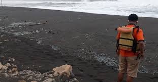 Check spelling or type a new query. Kawanan Ubur Ubur Muncul Di Pantai Selatan Kulon Progo Simak Penyebab Dan Bahaya Yang Ditimbulkan Pikiran Rakyat Com