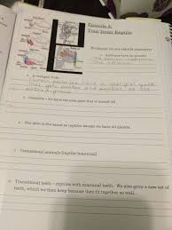 Worksheet Trapped In A Notebook Teacher Tech Teacher Tech Worksheets Teacher