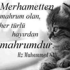 Merhamet En Guzel Sifatiniz Olsun Guzel Soz Ozlu Sozler Ve Bilgelik