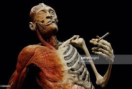 Learn about your lungs and respiratory system, how your muscles and nervous system control your breathing, and nhlbi research on the lungs. He Smoker His Black Lungs Can Be Seen Behind His Rib Cage Body Human Rib Cage Human Body Structure Black Lungs