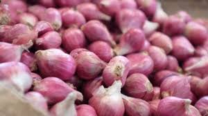 Harga barang merah naik menjadi rp 40 ribu per kg dari sebelumnya rp 28 ribu per kg. Akhir November Harga Bawang Merah Dan Cabai Naik Celebesmedia