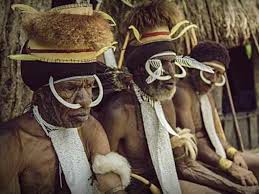 Suku dani adalah suku asli yang berasal dari pulau papua sama seperti suku asmat, suku ini sangatlah terkenal, tak hanya di indonesia bahkan. Dani Dan Empat Suku Di Papua