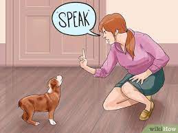 Potty train your boxer and stop bad behavior like barking, chewing, jumping, biting 3 Ways To Train A Boxer Dog Wikihow