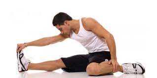 Capacidad que tienen los ligamentos y tendones de estirarse y volver a. Diferencia Entre Flexibilidad Y Elasticidad