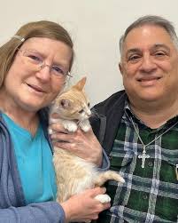 Allie's Pals Cat Rescue added a...