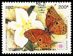 Stamp Cambodia 1991 Lethe Marginalis Stamp Butterfly Stamp Small Art