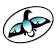 Shibogama First Nations Council logo