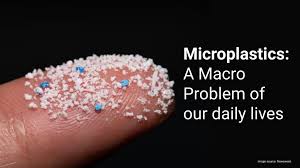 Microplastics: A Macro Problem of our ...