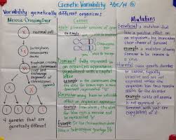 Genetic Variability Biology Glad Anchor Chart Science