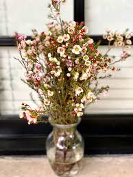 Maybe you would like to learn more about one of these? Flowers And Greens Flower Shop 5 Filler Flowers To Fill Your Day