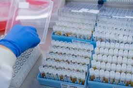 Astrazeneca Faces Difficult Questions About Its Vaccine After Admitting Mistake The New York Times