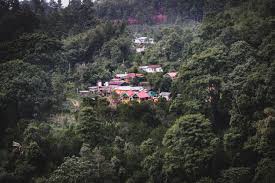 Offbeat India Chhota Mangwa West Bengal Two Together In 2020 Asia Travel Offbeat West Bengal